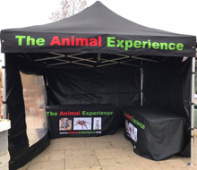 A black gazebo with display benches