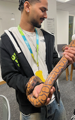 A young man holding
          a large boa constrictor with dark circles the length of its body