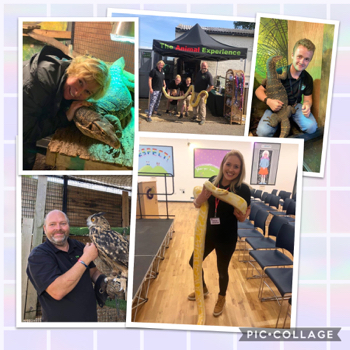 Nine pictures of Animal Experience handlers with various animals